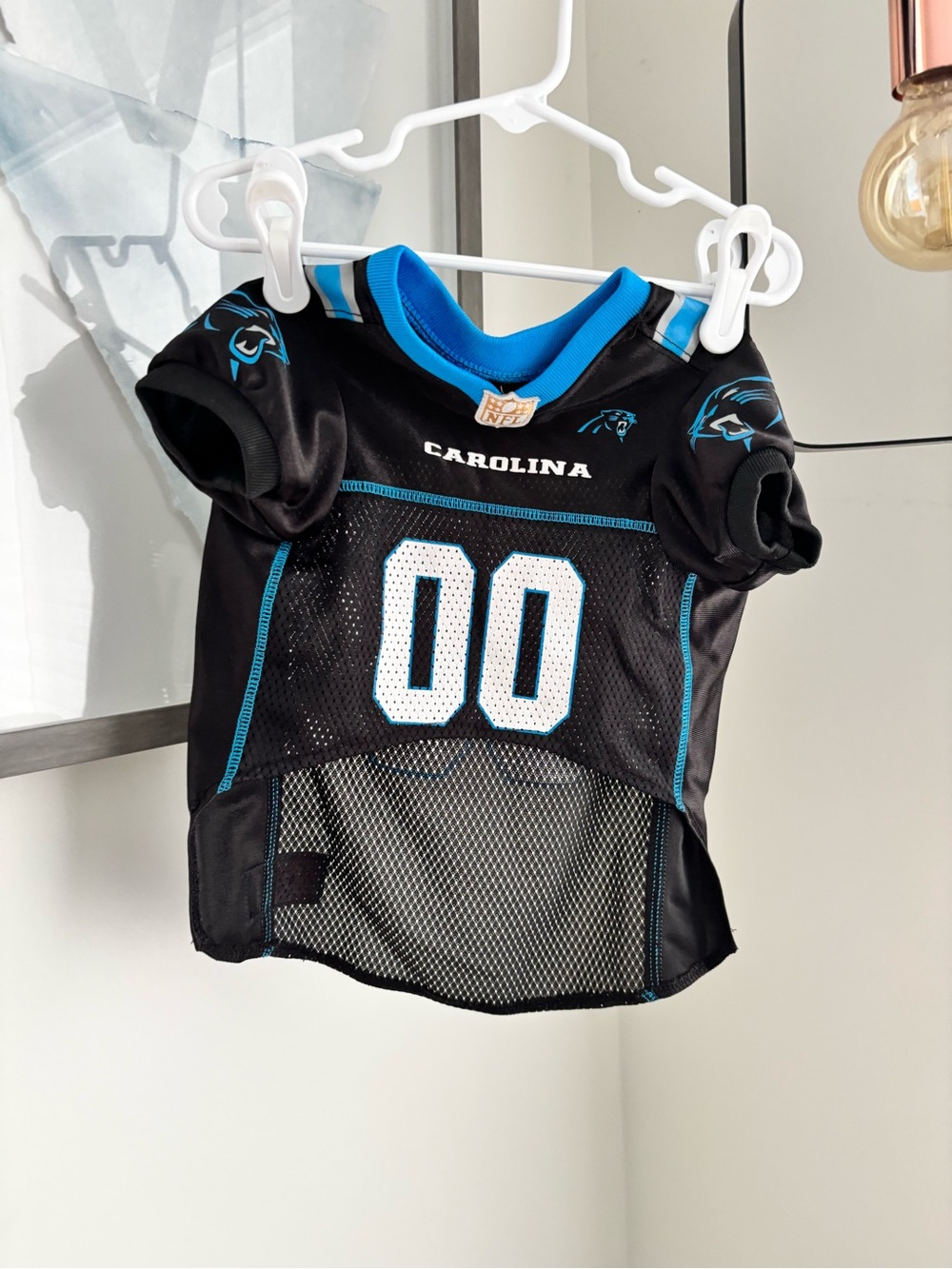 NFL Carolina Panthers Black & Blue Pet Jersey